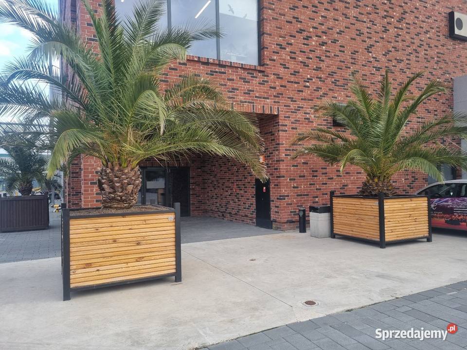 Donica duża loft Wrocław sprzedam