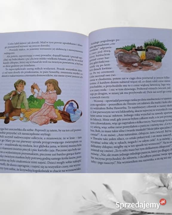 Klasyka młodego czytelnika Tajemniczy ogród Kraków sprzedam