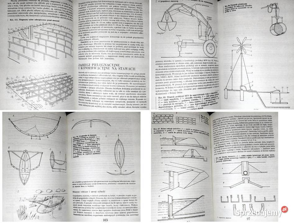 Rybactwo stawowe Roman Prawocheński Pozostałe Chełm
