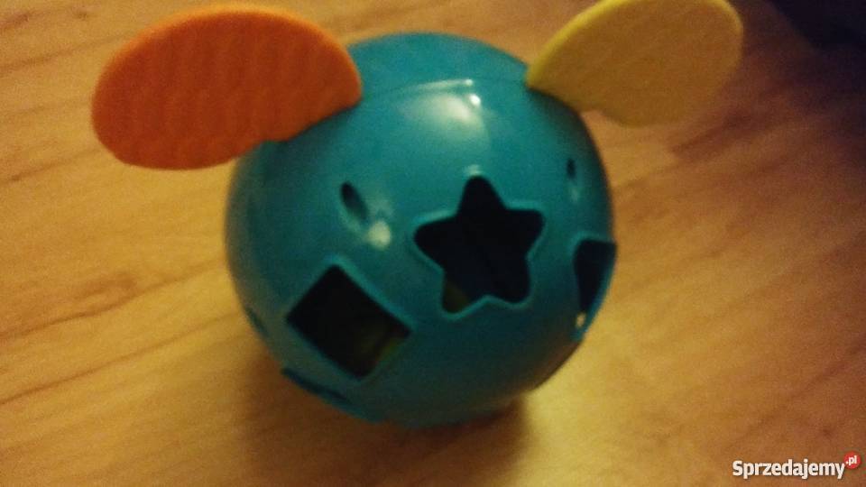 myszka bez klocków wielkopolskie Poznań