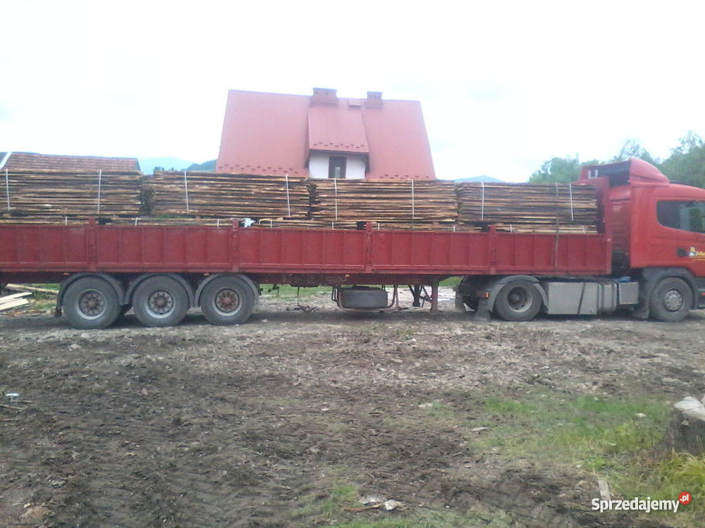 TARCICA MODRZEWIOWA ZAKOPANE MAŁOPOLSKA 53095506 Zakopane