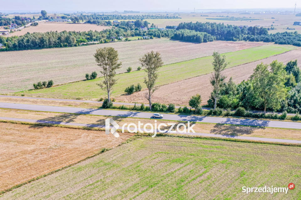 sprzedaży gruntu 9632m2 Łebcz Dr Augusta sprzedam
