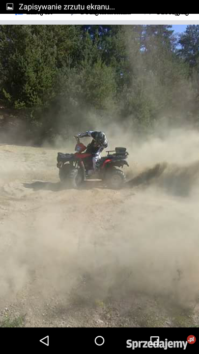 Quad Bashan Bs250S5