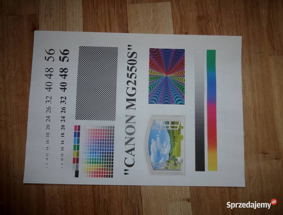 Drukarka CANON MG2550S Szczecin