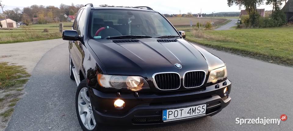 Bmw x5 e53 30d x drive 4x4 skóry szyberdach X5 Ostrzeszów