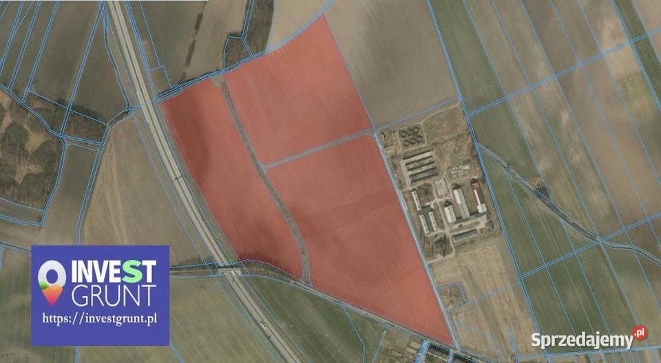 2658 ha grunty rolne przetarg na dzierżawę Wynajem sprzedam