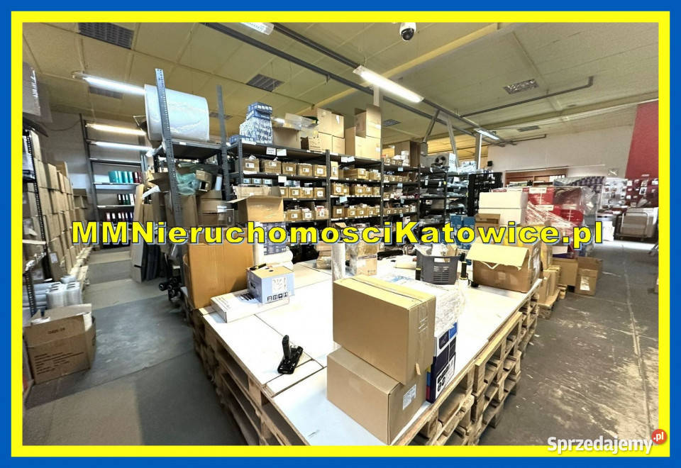 Magazyn do wynajęcia Katowice Silesia City śląskie