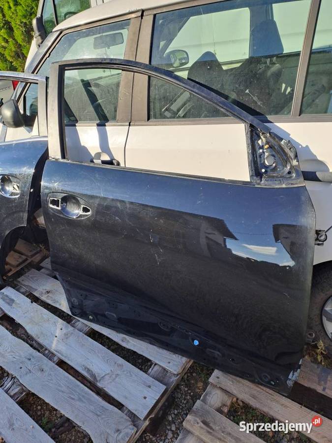 Renault Kadjar drzwi kod lakieru TEGNE Jastrzębie-Zdrój