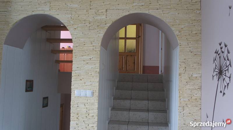 Kamień dekoracyjny Płytki ścienne Imitacja Wybór