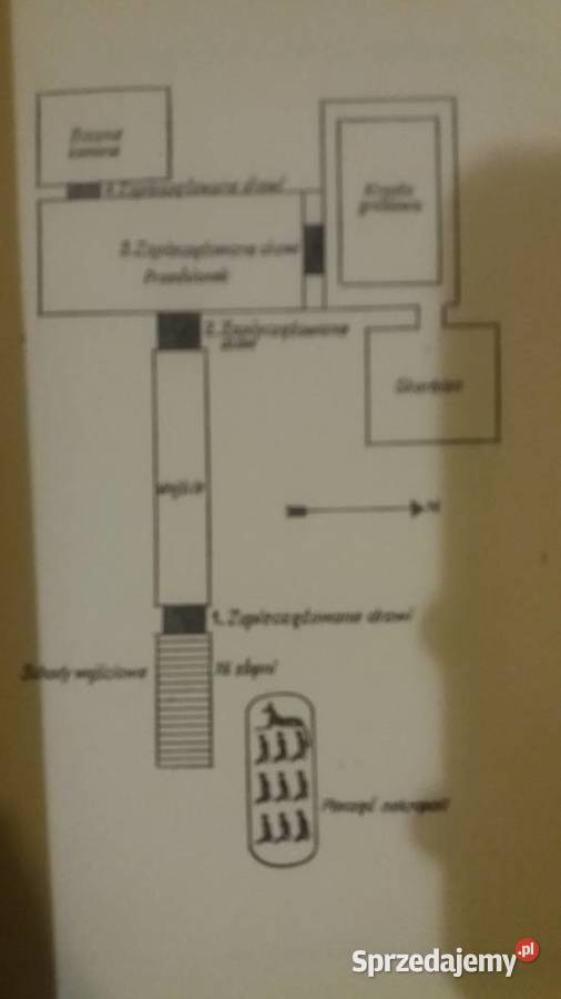 Złoty Faraon książki dziecięce prezenty Dzień Antykwariat Warszawa sprzedam
