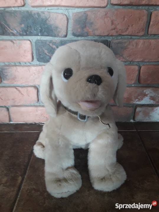 Interaktywny piesek Woofie IMC Toys Toruń sprzedam