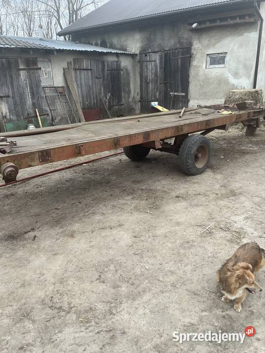 Przyczepa jednoosiowa zbierająca Głuchów