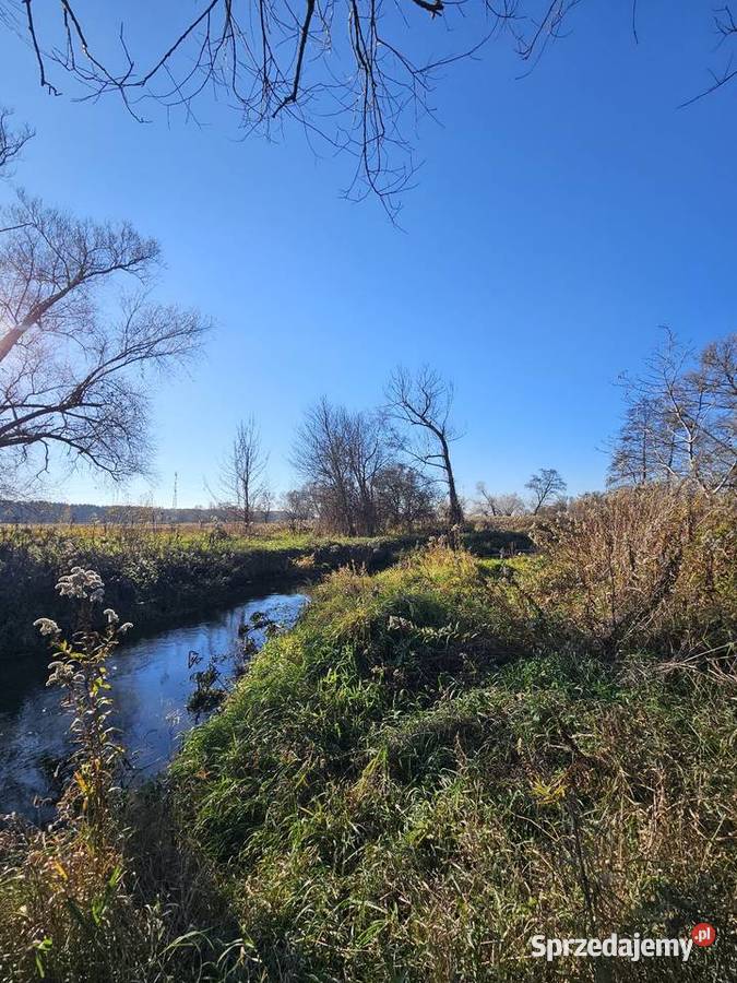 Dom 50m2 plus działka 1306m2 rzeką Duchnów