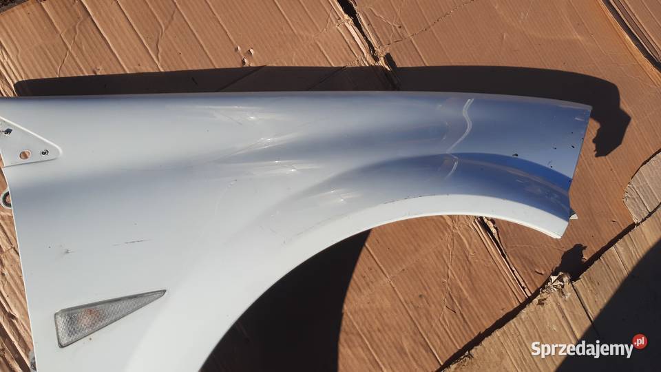 lak DV369 błotnik lewy Renault Megane II 2 BIAŁY Dębno