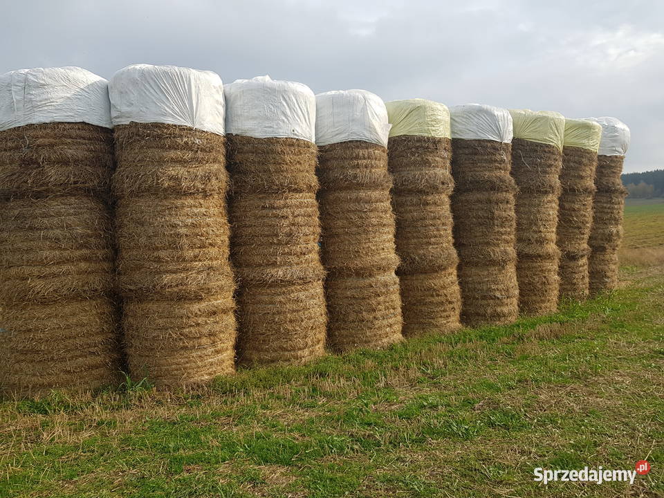 Sprzedam bele słomy 120 i 20 siana Bobrowniki