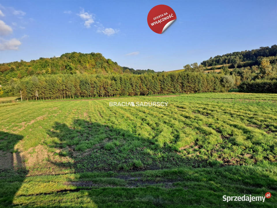 Grunt Polekarcice 4800m2 rolna