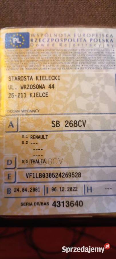 Tenault thalia Morawica