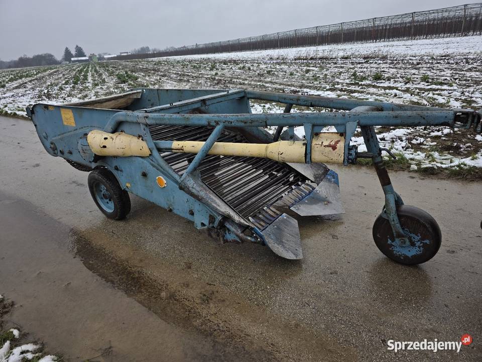 Kopaczka elewatorowa dwurzedowa do ziemniakow nieuszkodzony świętokrzyskie Samborzec