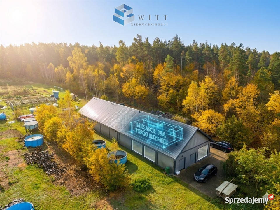 Lokal Łukta 342m2 342m2