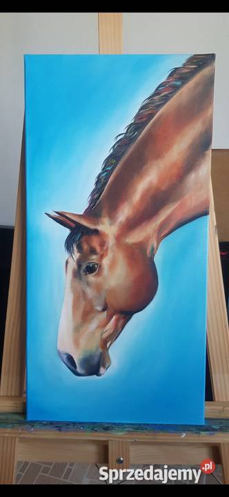 Obraz Koń 30x60 farbami olejnymi Malarstwo