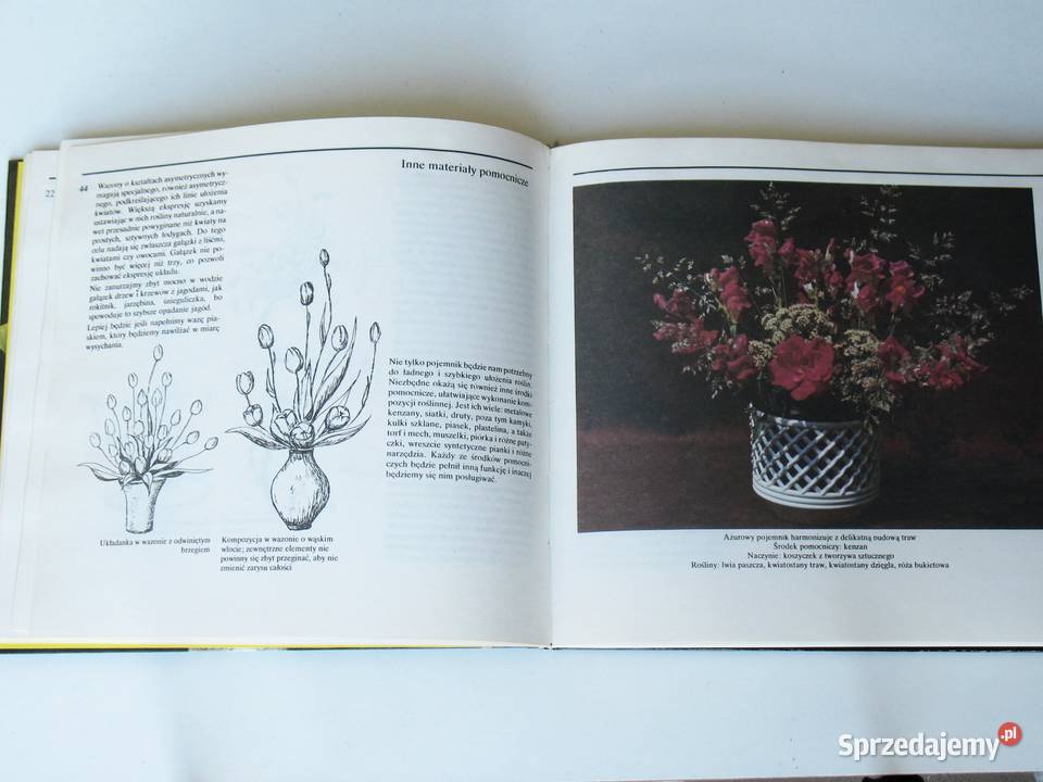 Układanki roślinne Joanna Szendel Kraków