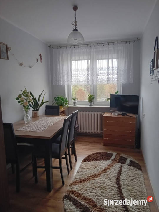 Sprzedam mieszkanie w Rypinie kujawsko-pomorskie Rypin