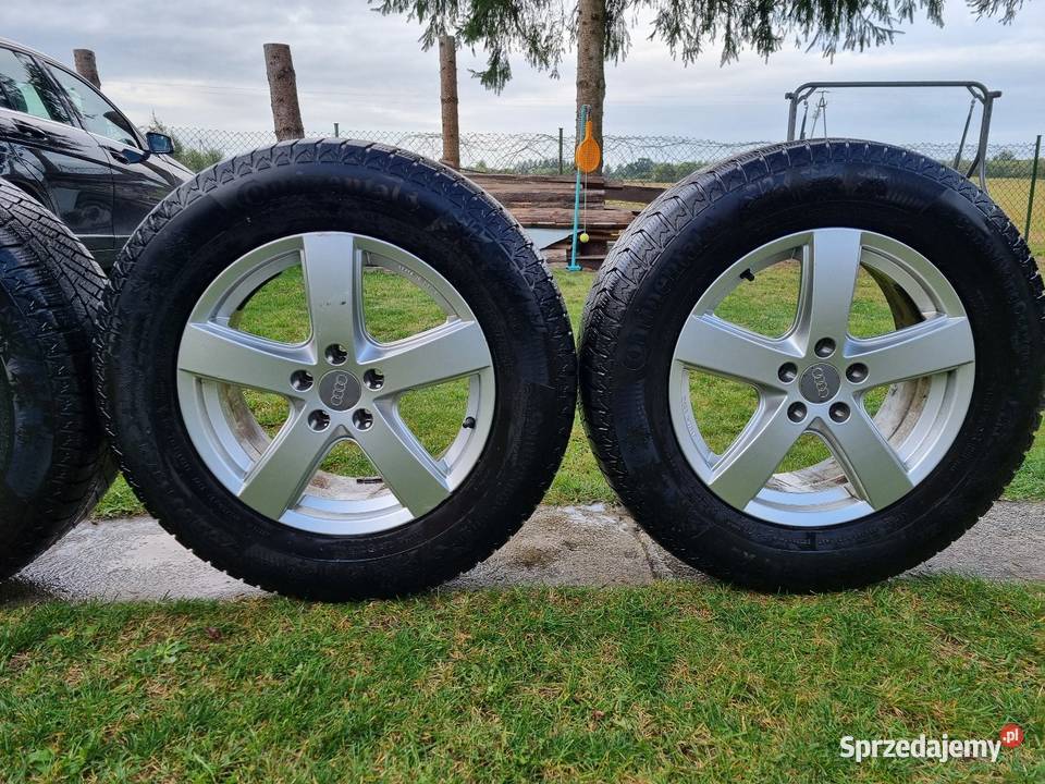 Kola zimowe Audi Q5 Krypno Kościelne
