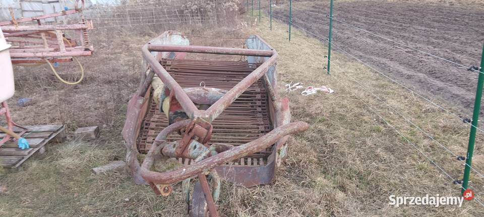 Kopaczka elewatorowa mazowieckie