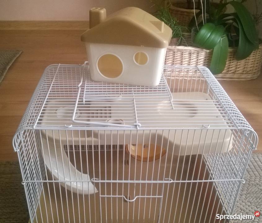 Klatka akcesoria chomika Starogard Gdański