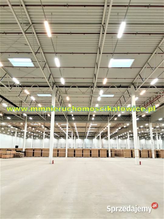 Magazyny do wynajęcia Będzin 200 m2 obsługa sprzedam