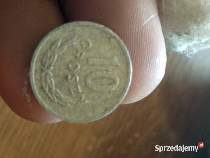 Sprzedam 10 gr 1972 r zzm Chełm sprzedam
