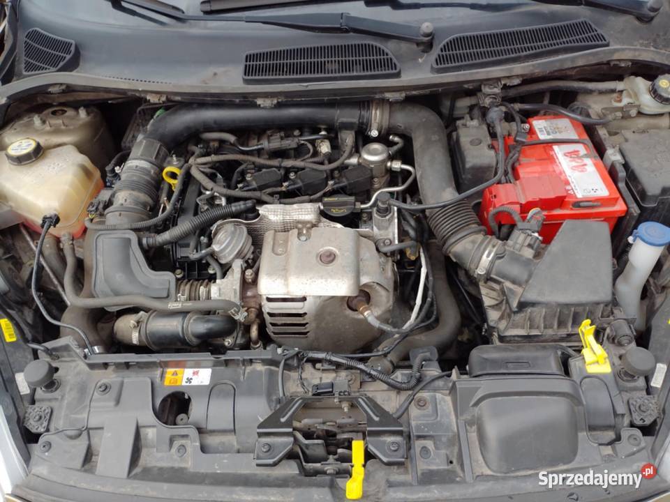 Ford Fiesta isofix Fiesta zachodniopomorskie Drogoradz