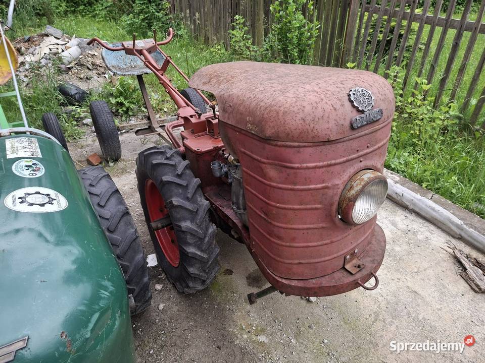 Dzik 2 1968r sprzedam