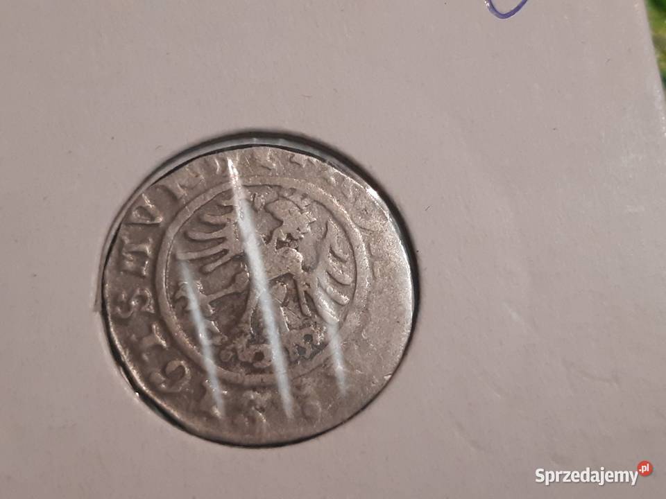 moneta srebrna Zygmunt I Stary z 1510r podlaskie Łomża