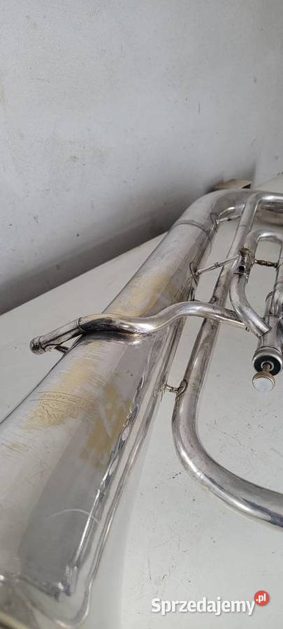 Euphonium Lignatone Bąków