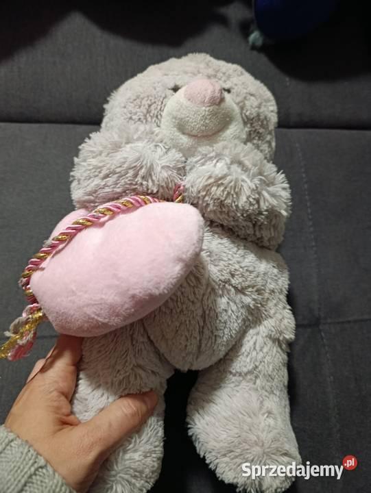 miś z serduszkiem Poznań