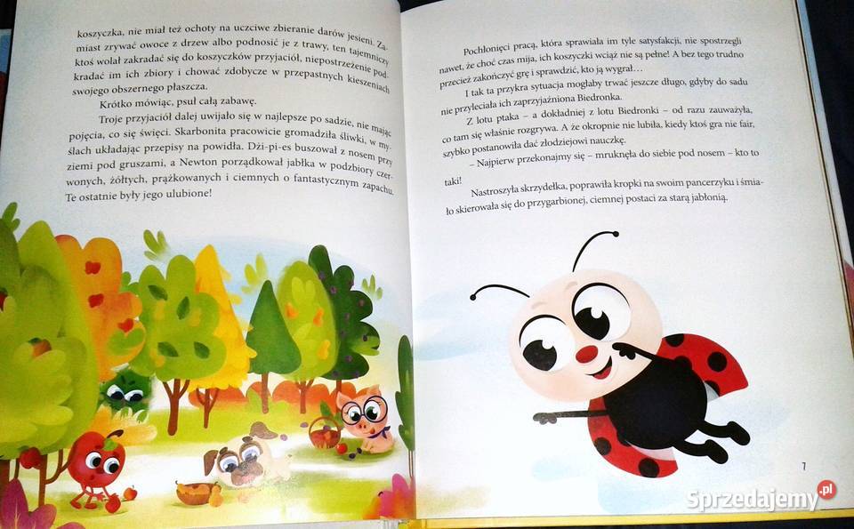 Gang Bystrzaków Paulina Płatkowska twarda Pozostałe Chełm