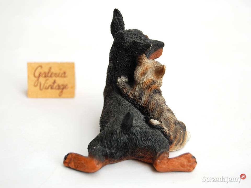 Pies i kot szczeniak doberman kotek figurka z Lublin