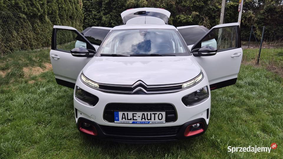 C4 CACTUS 12 110 OPŁACONY C4 Cactus Rzeszów