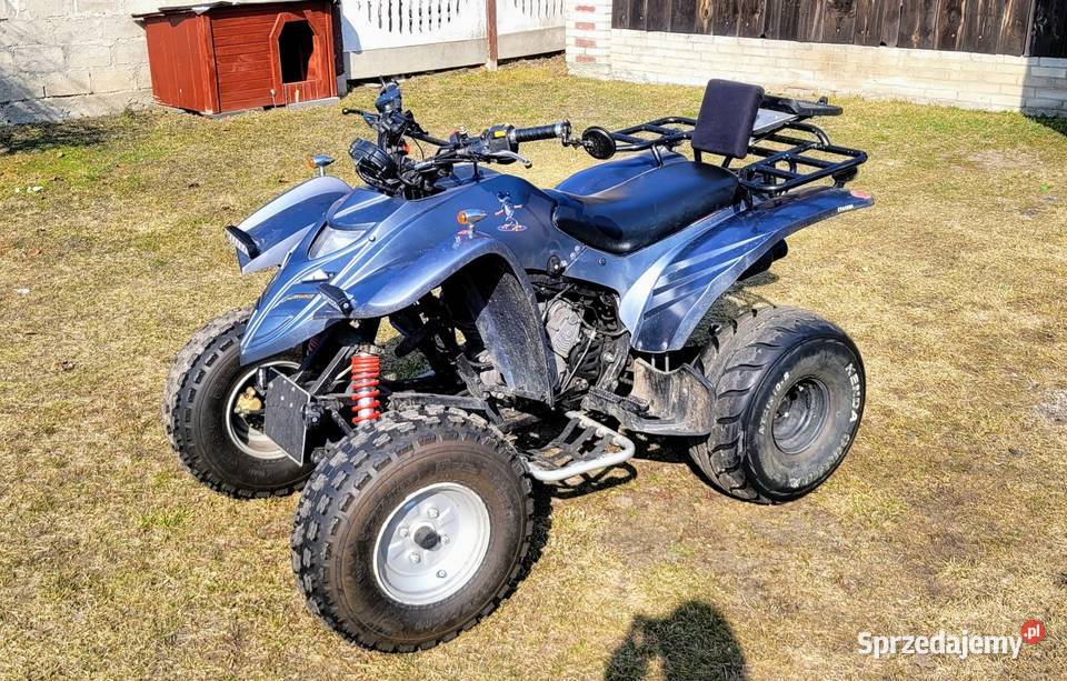 Quad Adly ATV 300s Rok produkcji 2006 Leszkowice