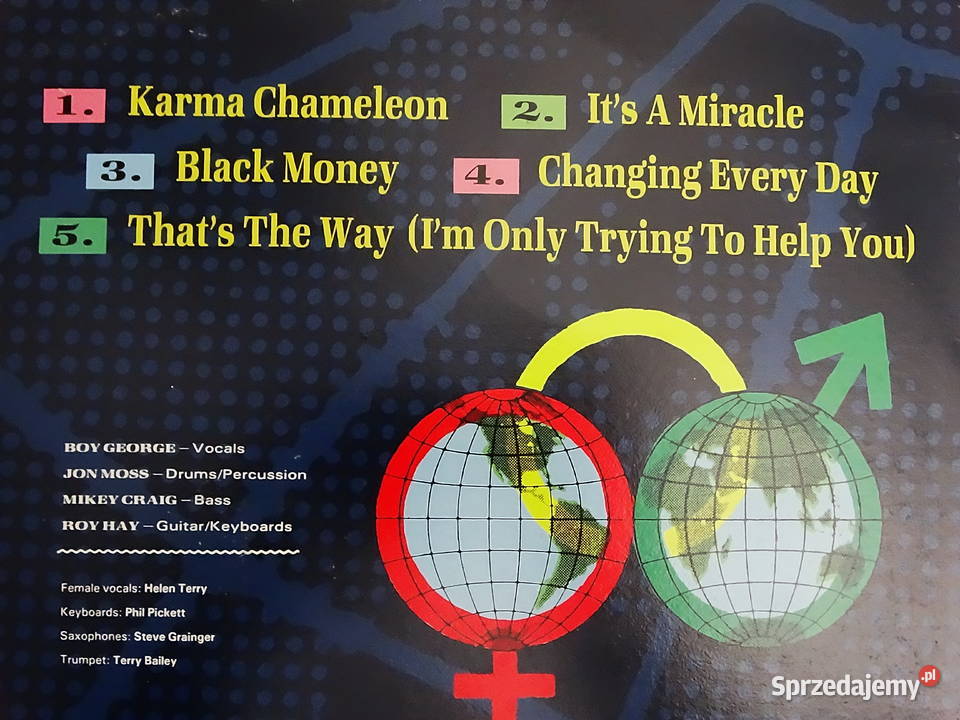 Winyl Culture Club Colour by Numbers 1983 Boy 1 płyta