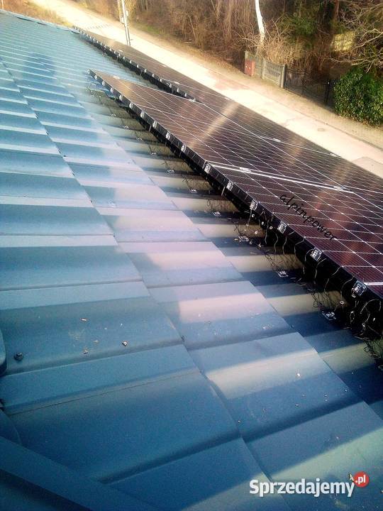 Ochrona systemów fotowoltaicznych przed ptakami