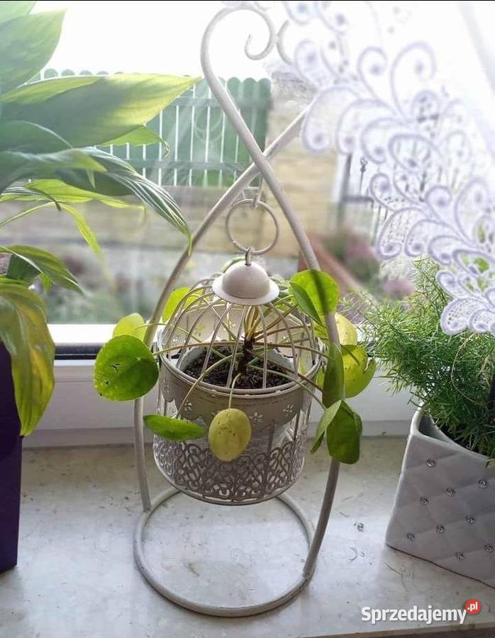 metalowa klatka Kalety sprzedam