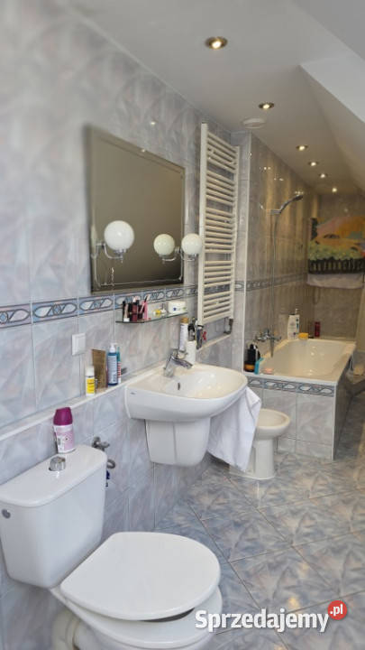 Dom dwulokalowy z dwoma lokalami usługowymi wielkopolskie Poznań