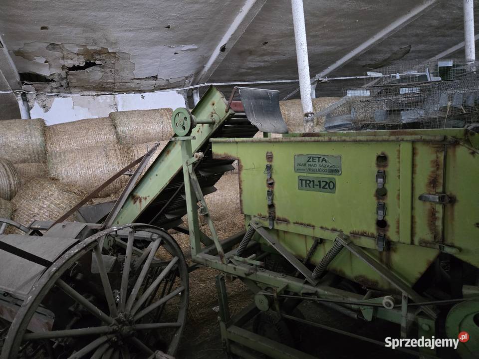 Sortownik warzyw ziemniaków