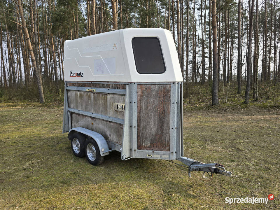 Przyczepa do przewozu koni zwierząt PONGRATZ PA 2 Korpele