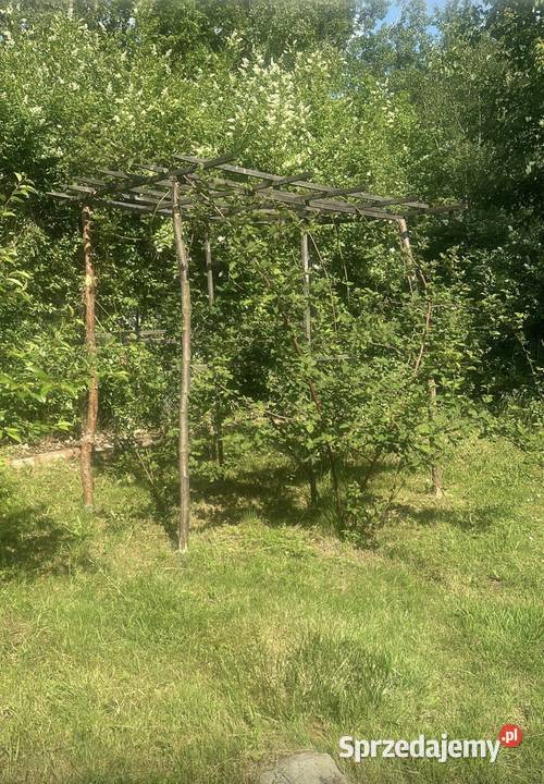Sprzedam ogródek działkowy 500m2 Rod Maślice 500m2 dolnośląskie Wrocław
