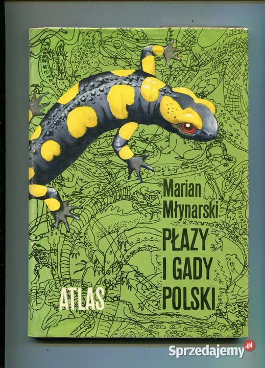 Płazy i gady polski Młynarski Rok wydania 1987 Szczecin