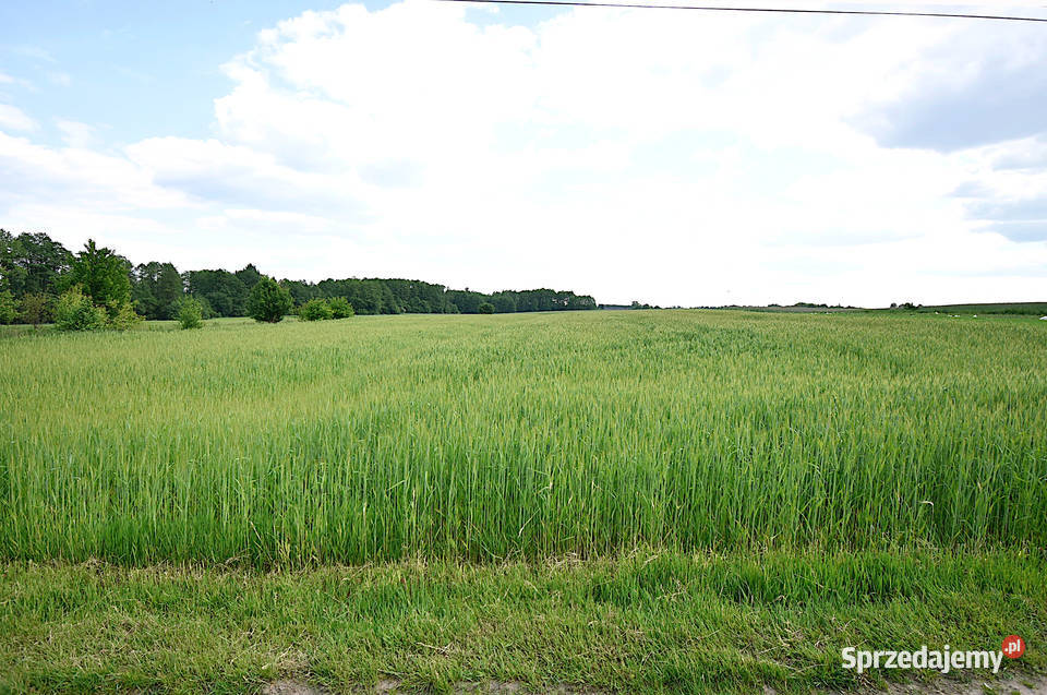 Sprzedam działkę budowlaną w okolicy Czarnolasu 32m mazowieckie Czarnolas