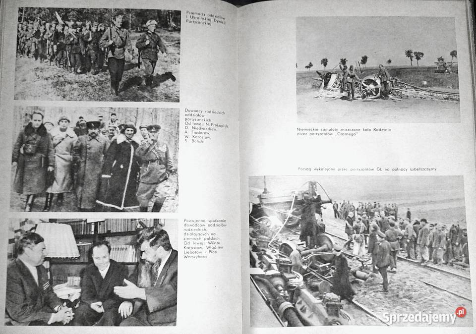 Z pól bitewnych Lubelszczyzny Tadeusz Szymański twarda z obwolutą